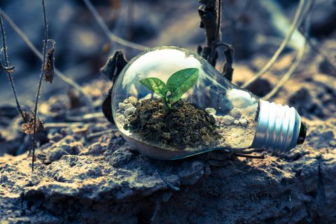 Learn Environmental Awareness: A Complete Guide to Basics, Facts, and Knowledge for a Greener Future